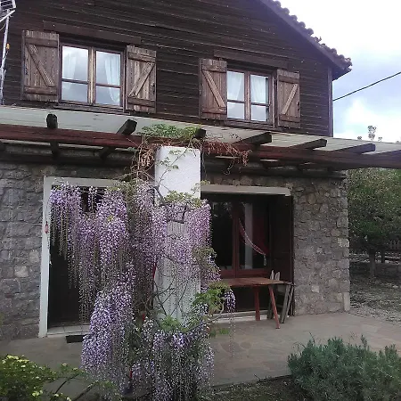 Holiday home Houses